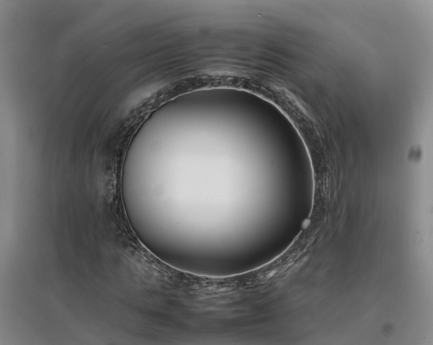 X0000097000821200802151412