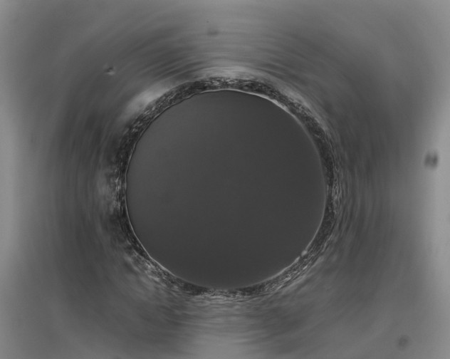 X0000097000822200802151412