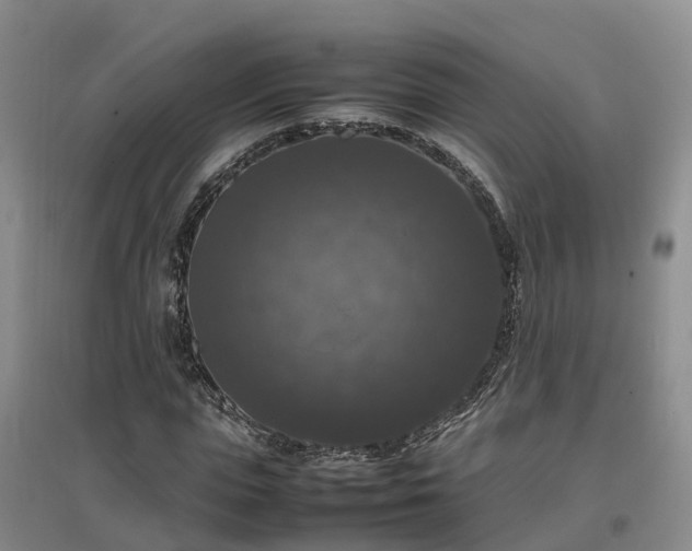 X0000097000823200802151412