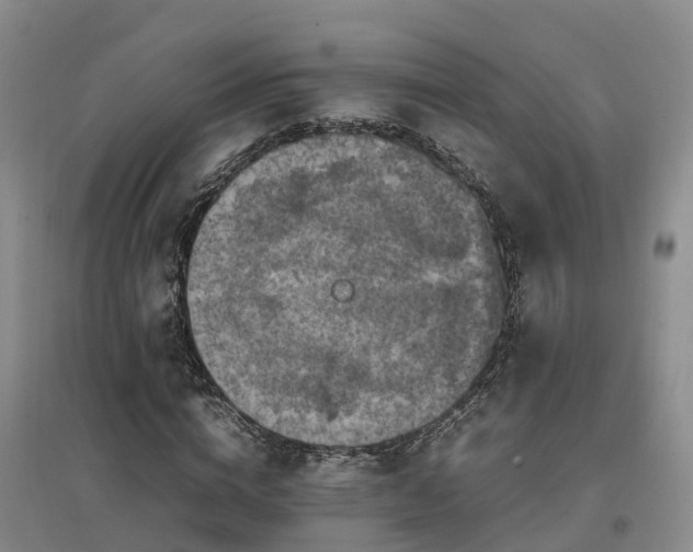 X0000097000824200802151412