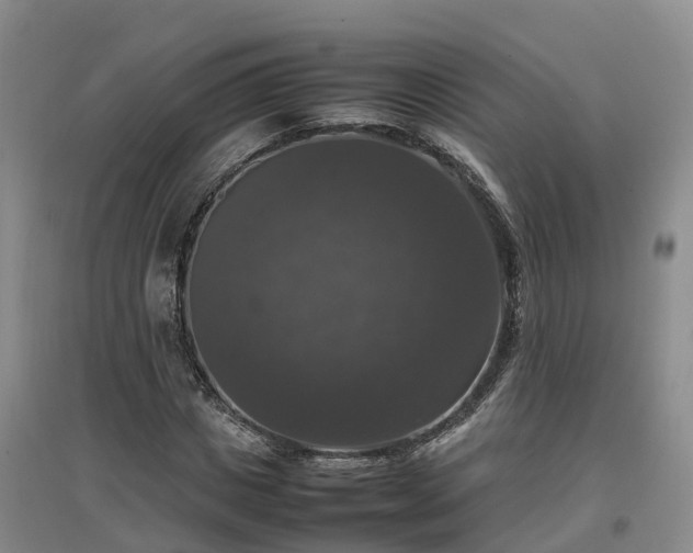 X0000097000825200802151412