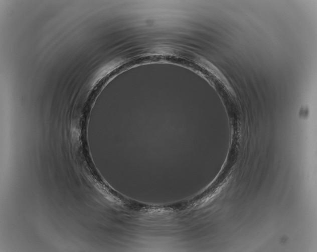 X0000097000826200802151412