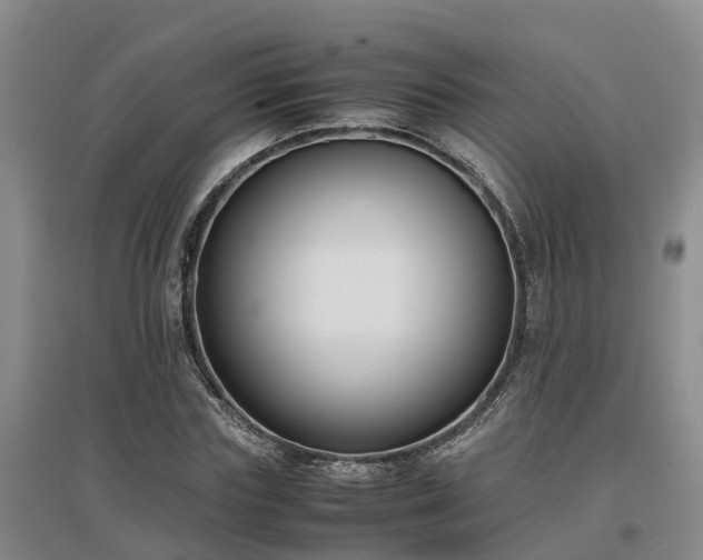 X0000097000827200802151412