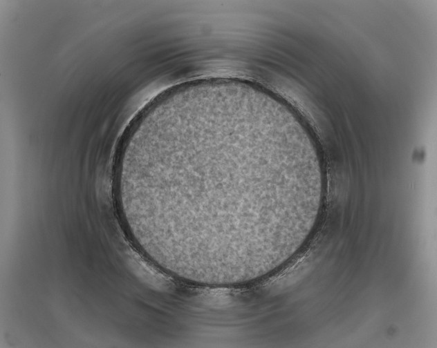 X0000097000828200802151412