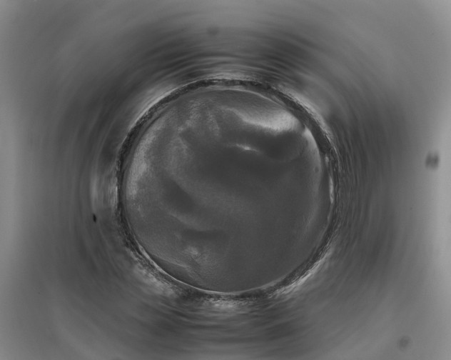 X0000097000829200802151412