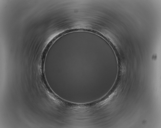 X0000097000830200802151412