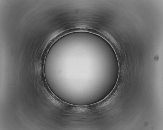 X0000097000831200802151412