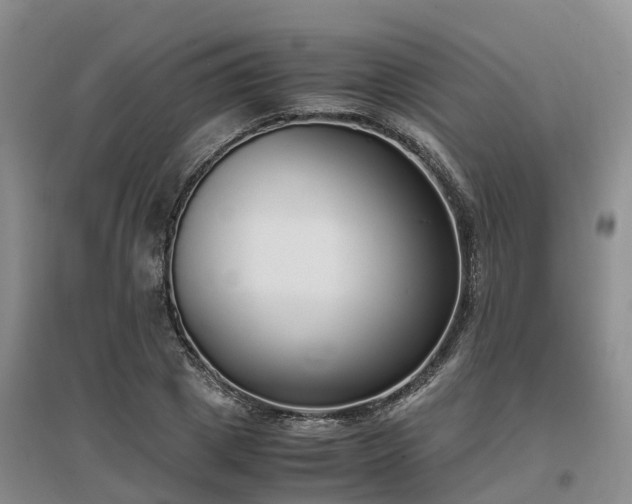 X0000097000833200802151412