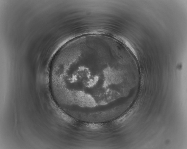 X0000097000835200802151412