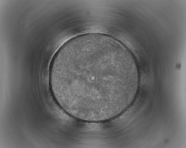 X0000097000836200802151412