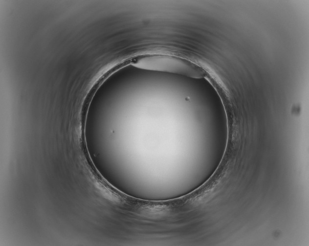 X0000097000837200802151412