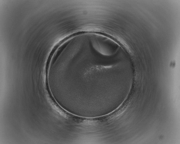 X0000097000840200802151412