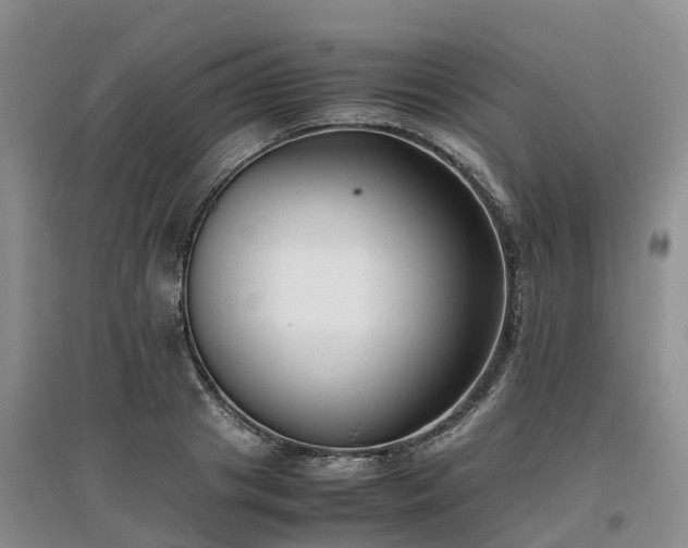 X0000097000841200802151412