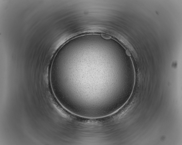 X0000097000842200802151412