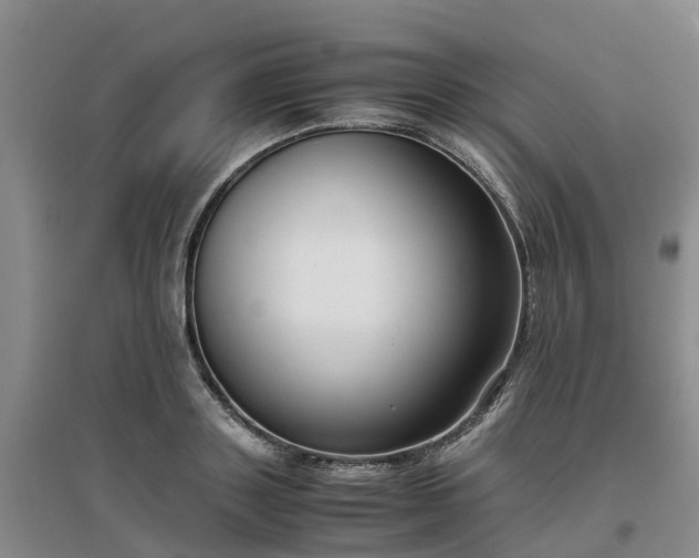 X0000097000843200802151412