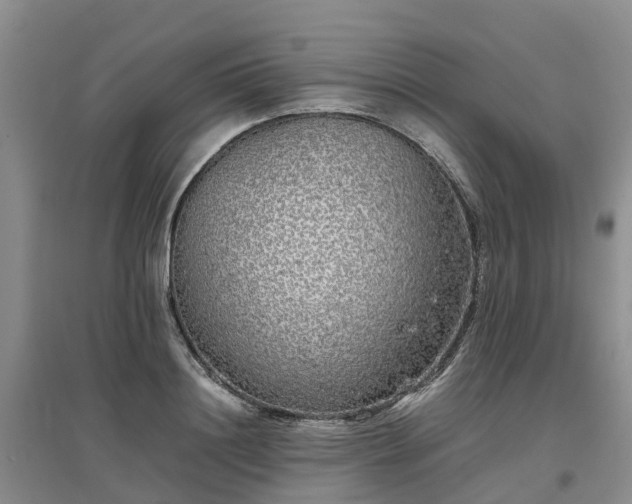 X0000097000844200802151412