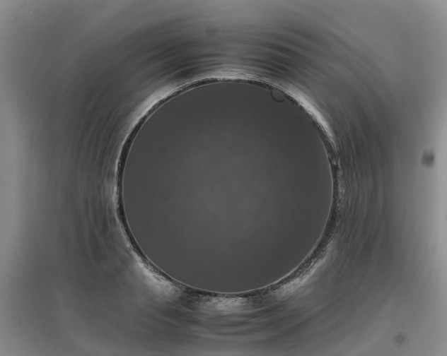 X0000097000845200802151412
