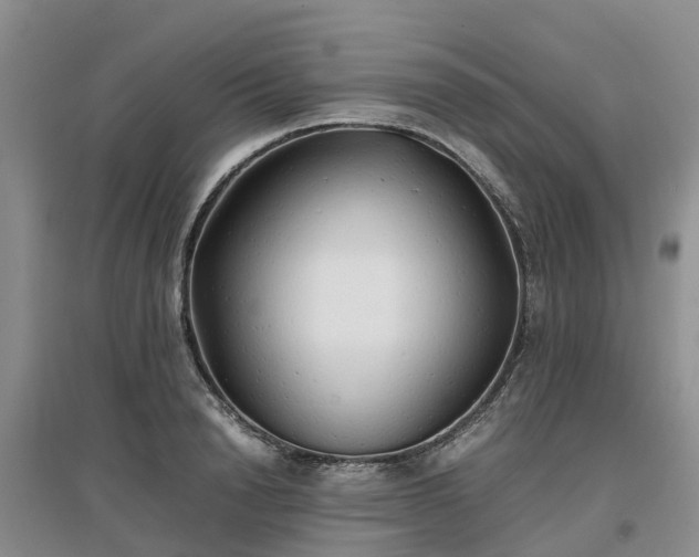 X0000097000846200802151413