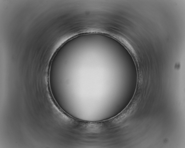 X0000097000847200802151413