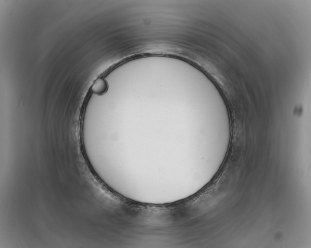 X0000097000848200802151413