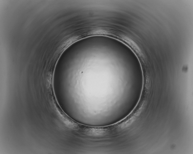 X0000097000849200802151413