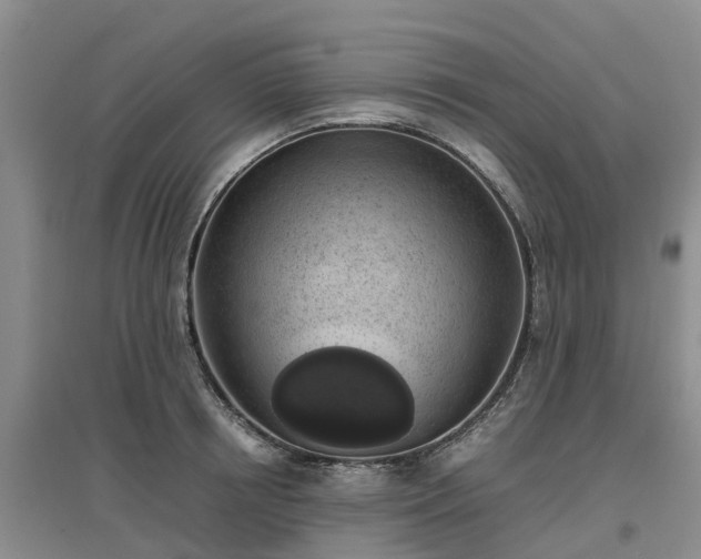 X0000097000850200802151413