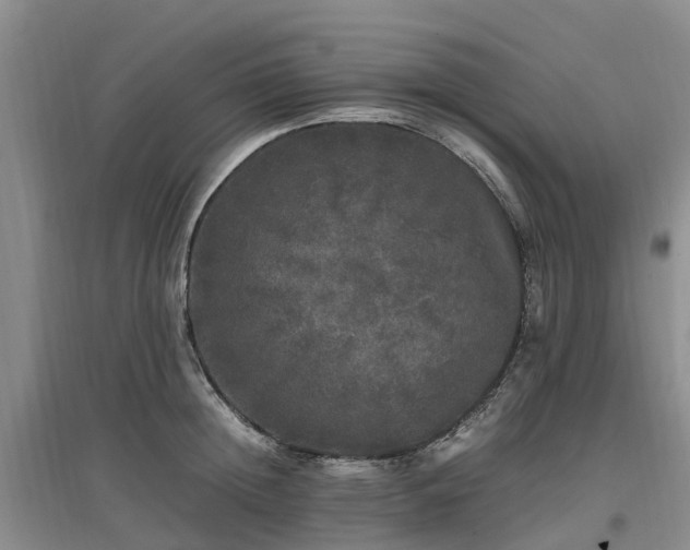 X0000097000852200802151413