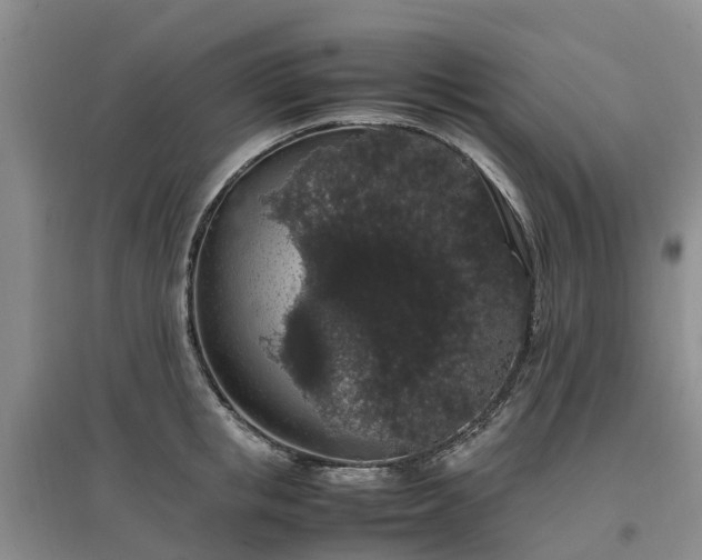 X0000097000853200802151413