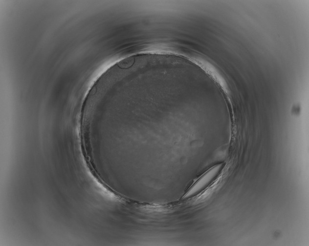 X0000097000855200802151413