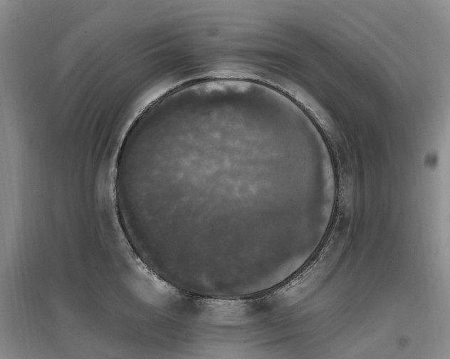 X0000097000856200802151413