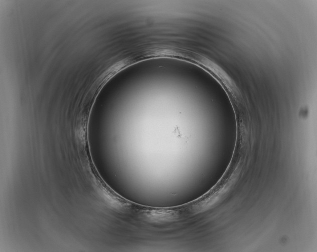 X0000097000857200802151413