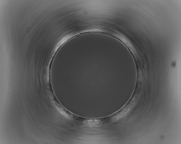 X0000097000858200802151413