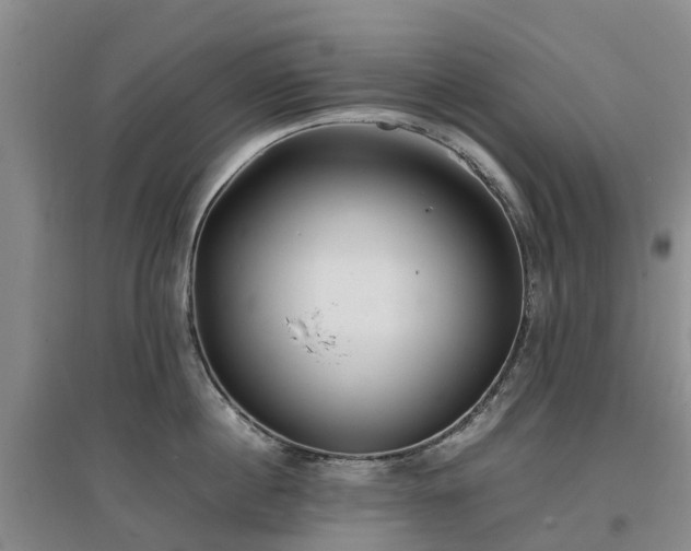 X0000097000860200802151413