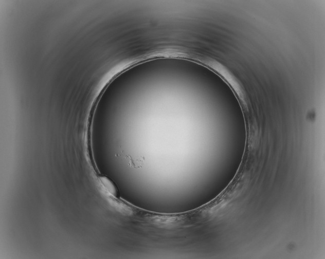 X0000097000861200802151413