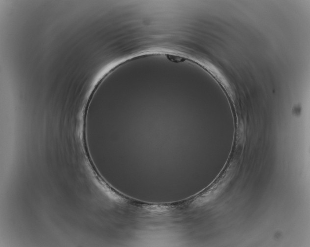 X0000097000862200802151413