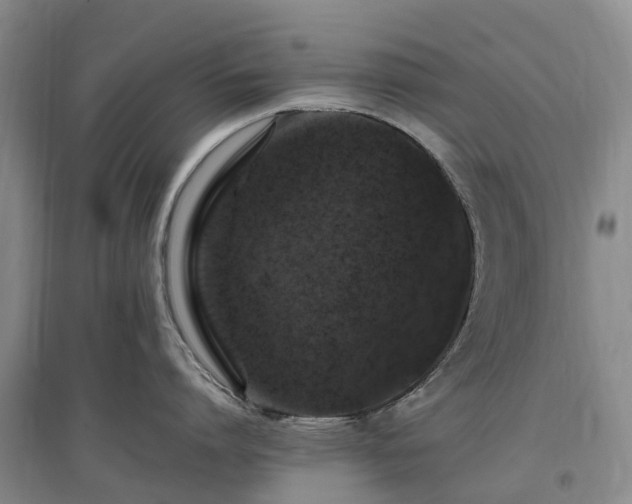 X0000097000864200802151413