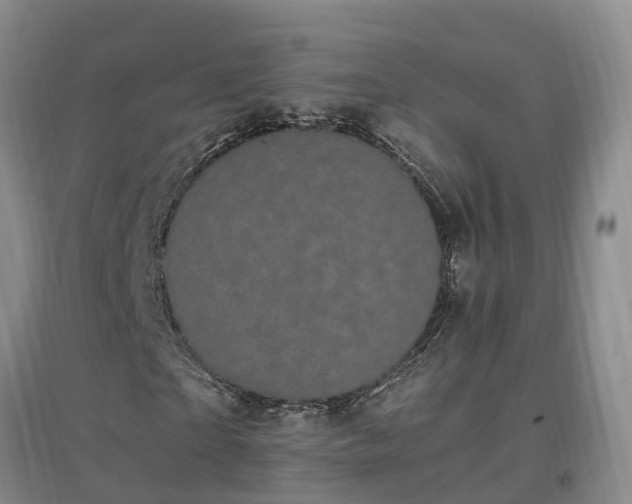 X0000097000865200802151412