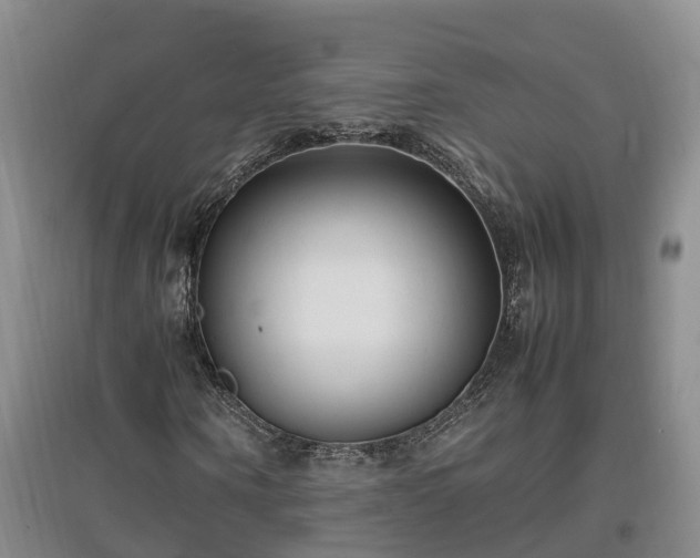 X0000097000866200802151412