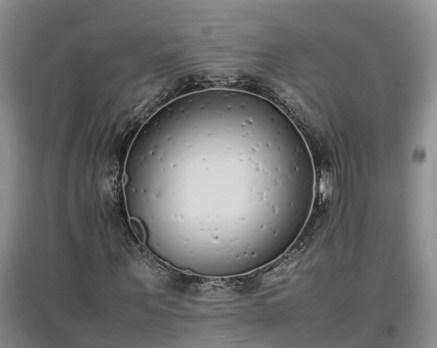 X0000097000867200802151412