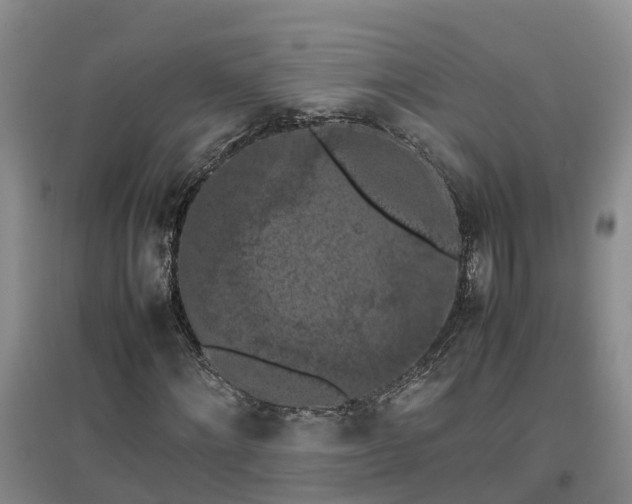 X0000097000868200802151412