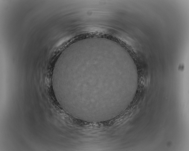 X0000097000869200802151412