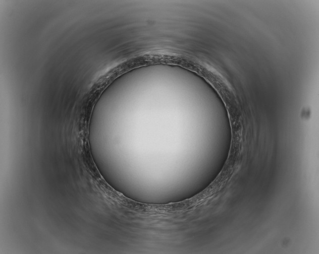 X0000097000870200802151412