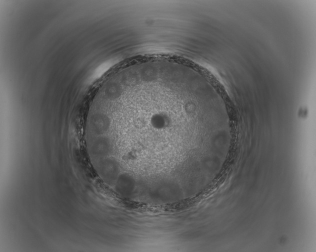 X0000097000871200802151412