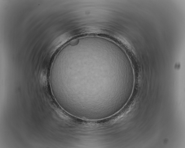 X0000097000873200802151412