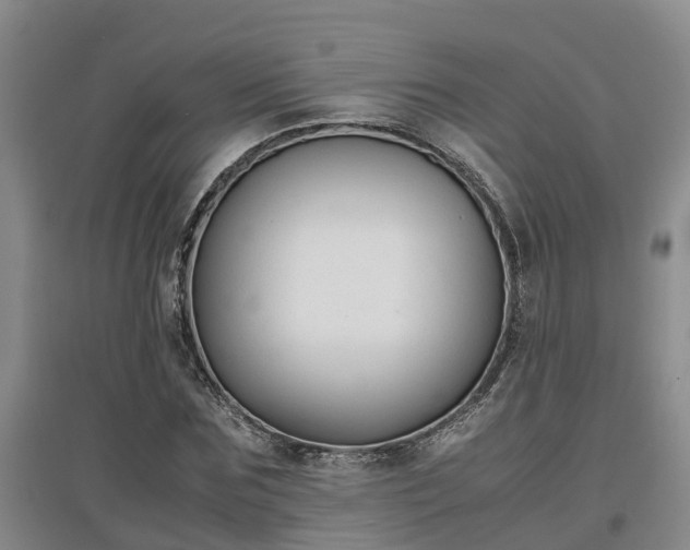 X0000097000875200802151412