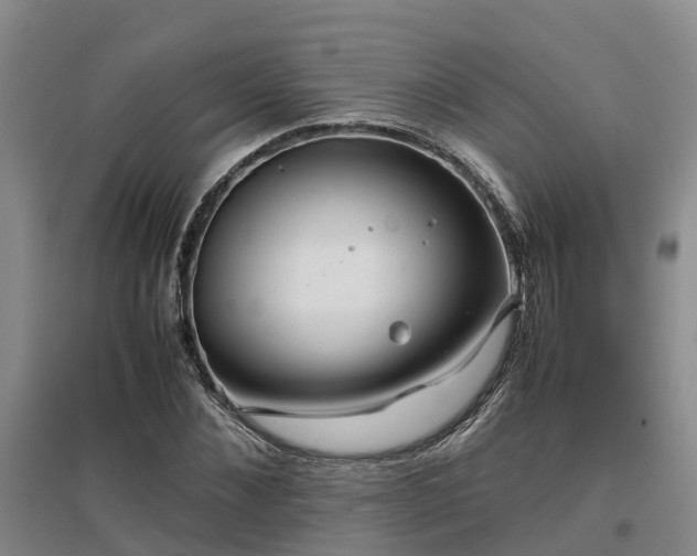 X0000097000876200802151412
