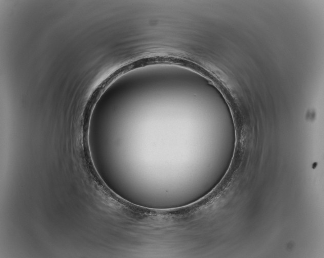 X0000097000877200802151412