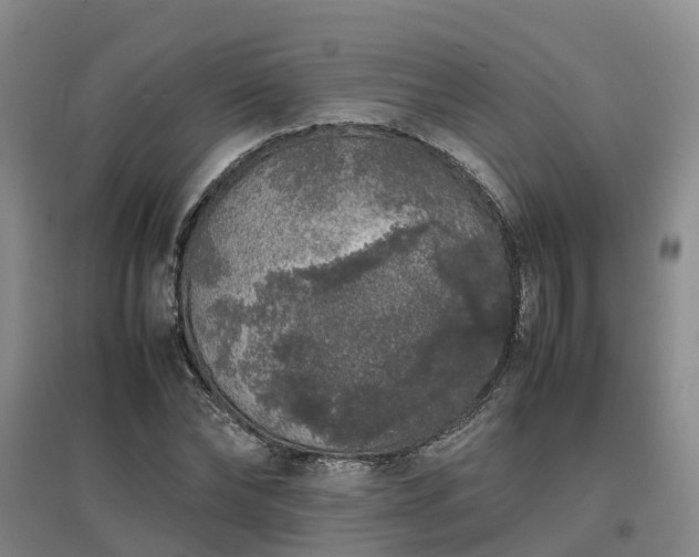 X0000097000878200802151412