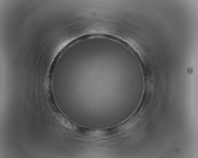 X0000097000879200802151412