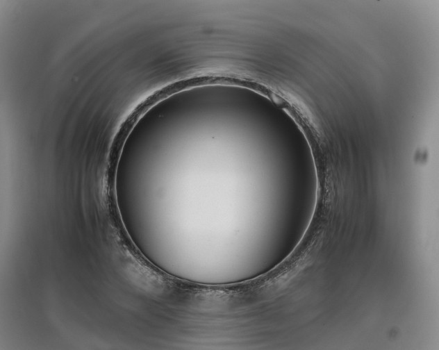 X0000097000880200802151412